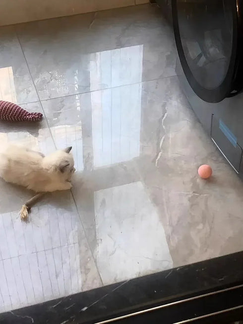 Smart Interactive Rolling Ball for Cats – Electronic Indoor Toy